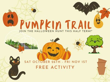 Pumpkin Trail- A Half-Term Halloween Adventure for Children