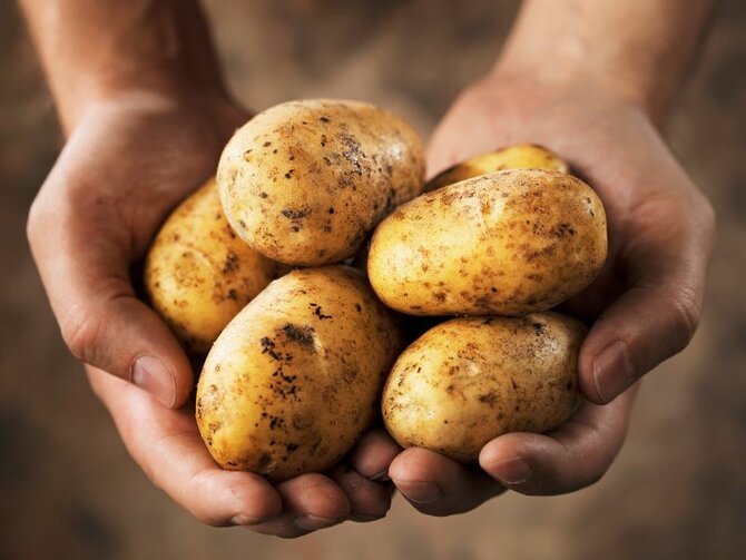 Grow Your Own Potatoes!