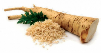 Grow your own horseradish