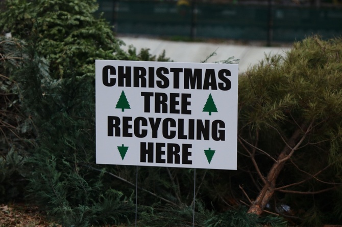 What to do with your real Christmas tree after Christmas?