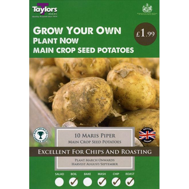 10 MARIS PIPER POTATOES 30-45