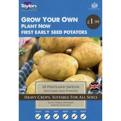 10 PENTLAND JAVELIN POTATOES 35-45