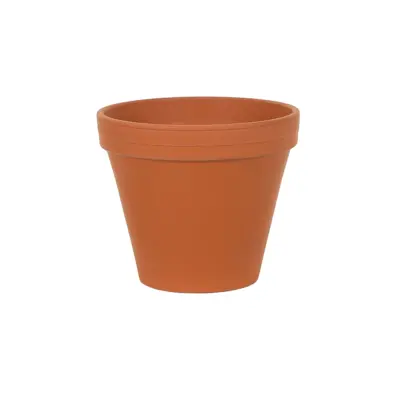 10in STANDARD SPANG POT