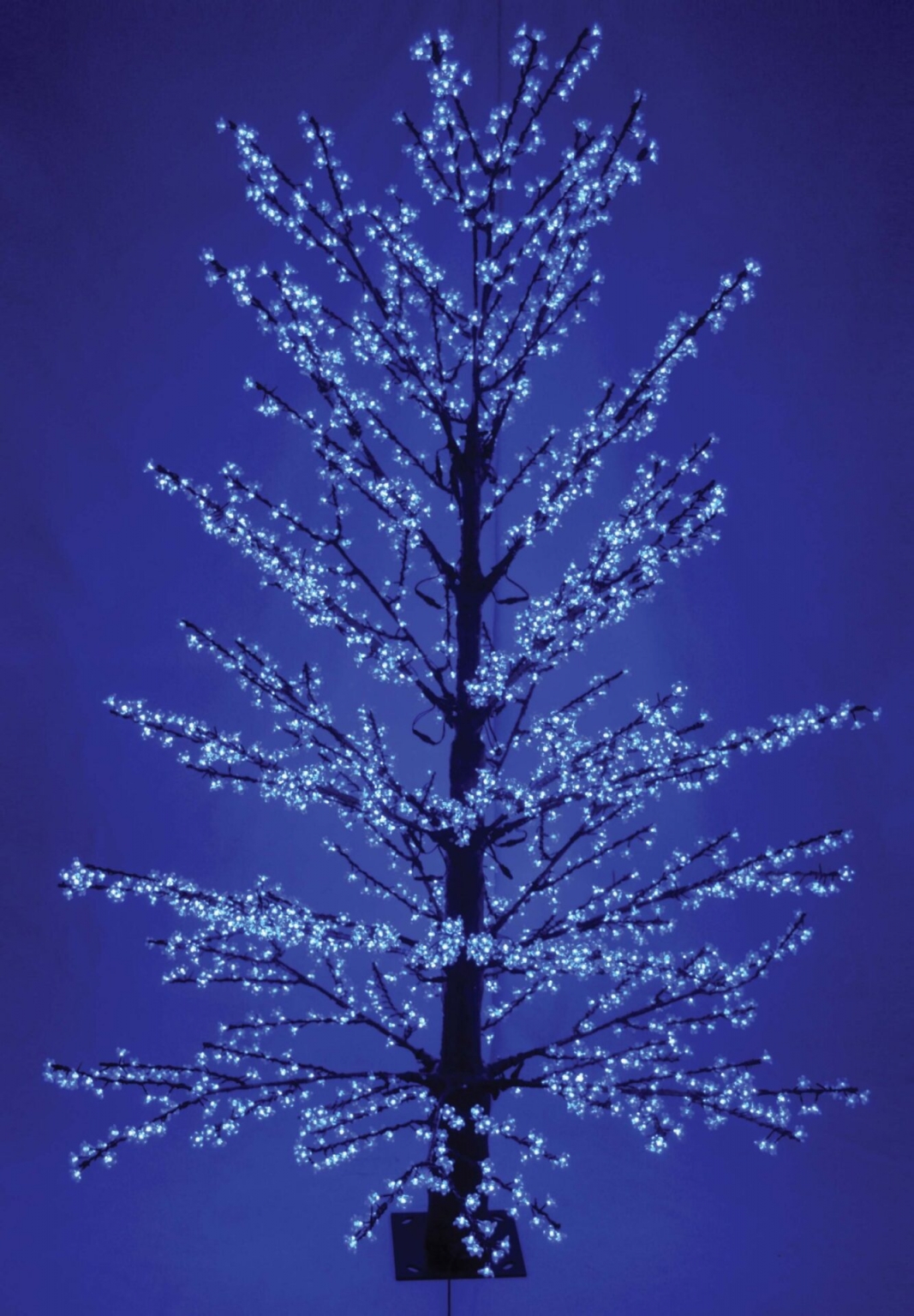 3M Red-Blue LED Cherry Tree - Radway Bridge Garden Centre