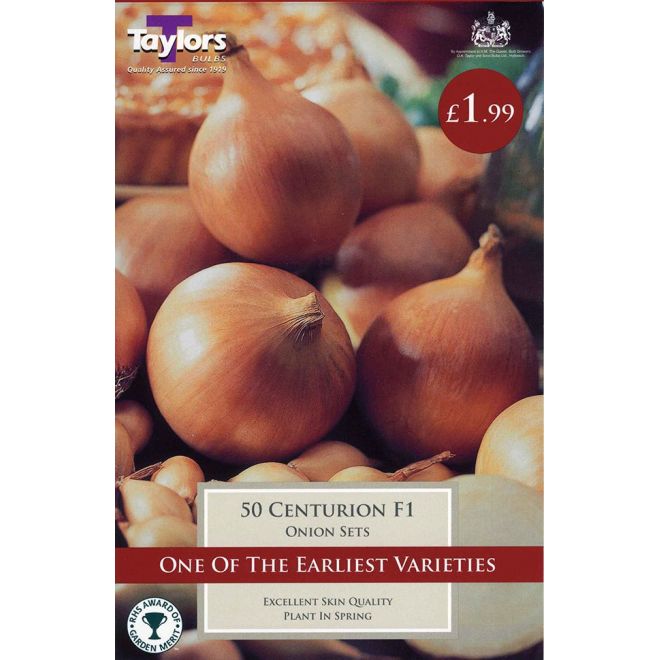 50 ONION CENTURION F1 14-21