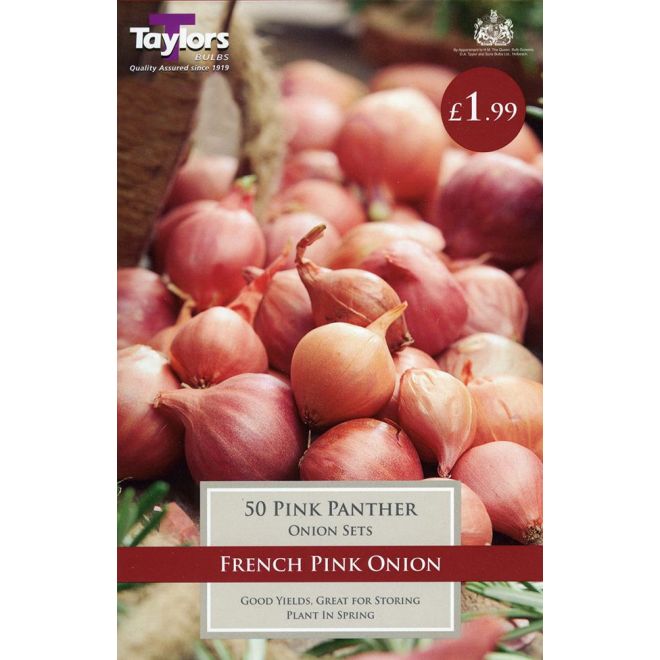 50 ONION PINK PANTHER 14-21