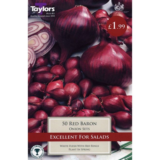 50 ONION RED BARON 14-21