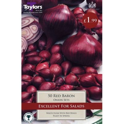 50 ONION RED BARON 14-21