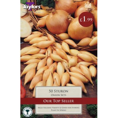 50 ONION STURON 14-21