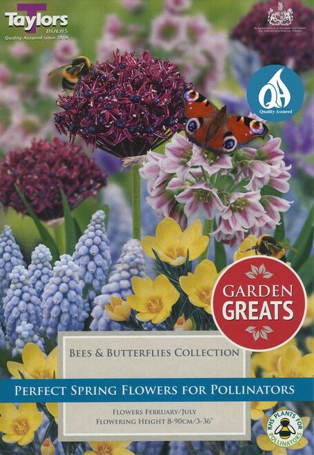 BEES AND BUTTERFLIES COLLECTION