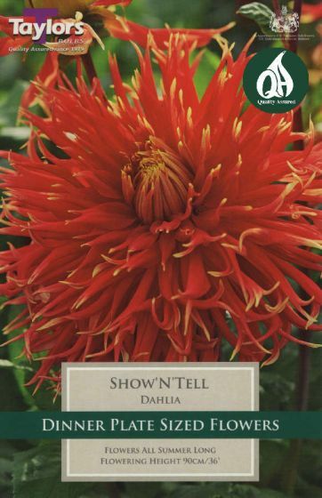 DAHLIA SHOW 'N' TELL