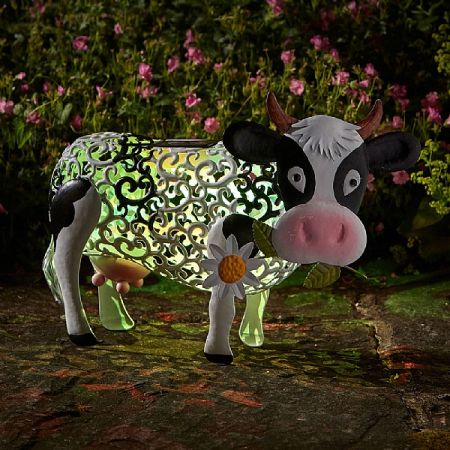 rolly pet daisy cow