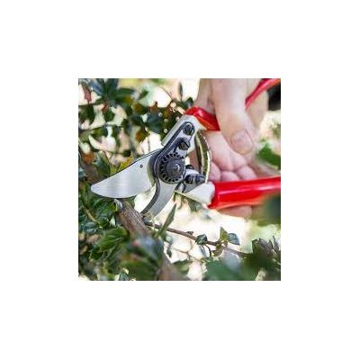 Darlac Expert Rotate Handle Pruner - image 2