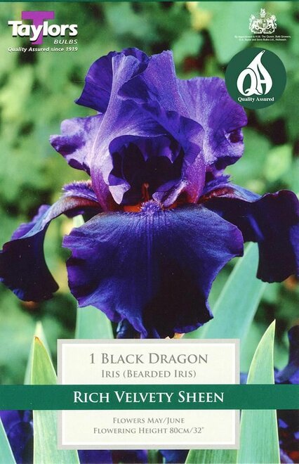 IRIS BLACK DRAGON