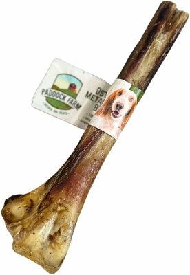 Ostrich Bone