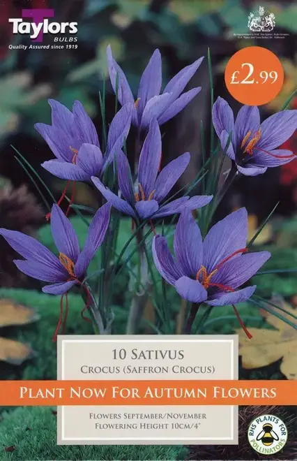 SATIVUS 7up P/P